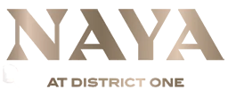 Naya logo